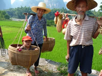 Rice farmer in Guilin