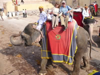 J&M elephant ride to Amer Fort, Jaipur