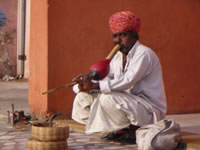 Snake charmer, Jaipur