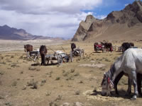 High plateau Tibet
